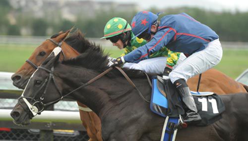 Isabellareine and Danny Grant just get up close   home to beat Total Excitement and Bryan Cooper