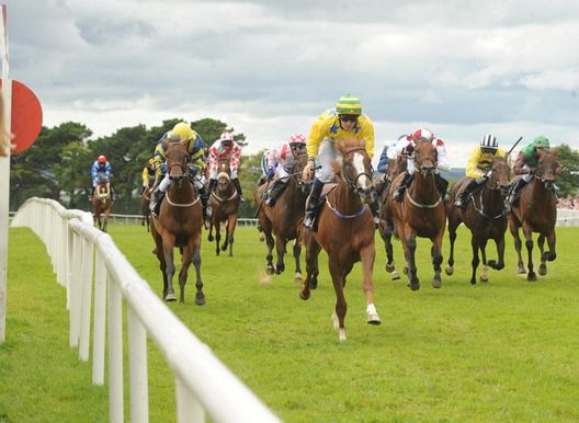Cinnin Oir and Colm O'Donoghue come home in front for trainer John Geoghegan