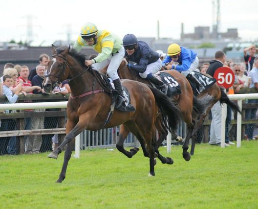 Prince Chaparal and Pat Shanahan score   for trainer Pat Flynn