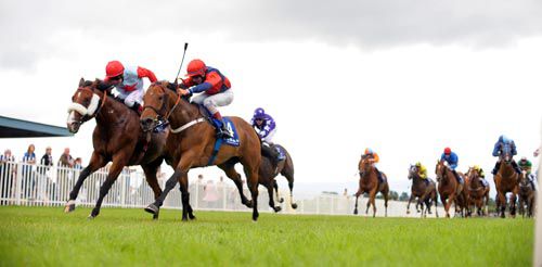 Doorock and Conor Hoban near wins from Desert Ben and Pat Smullen