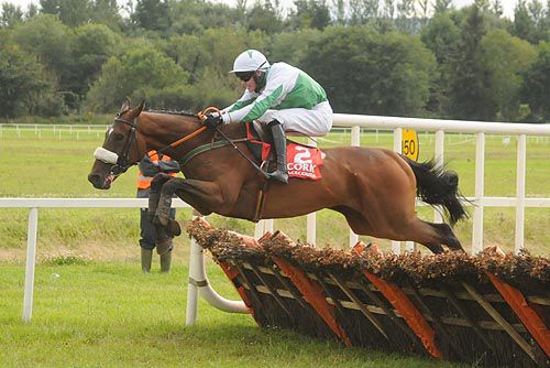 Matchbook and David Splaine clear the final flight at Cork