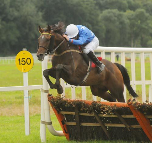 Ebony DIamond and Kevin Coleman stylishly clear the final flight at Cork