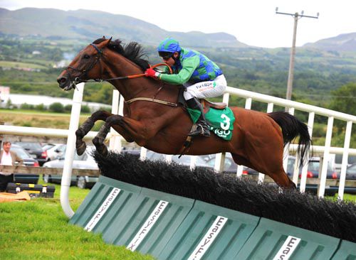 Mount Helicon pings the last at Sligo
