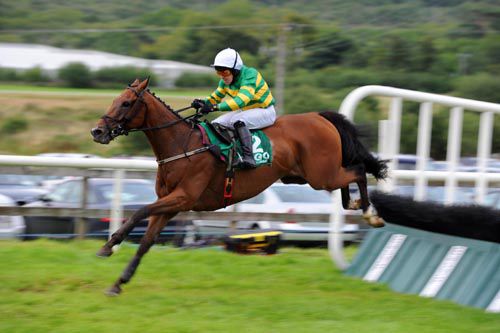 Alpine Eagle in splendid isolation