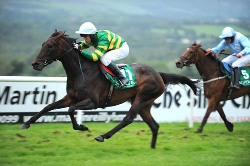 Ross Bay strides on from Avida Star