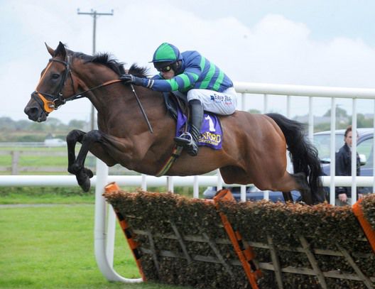 Hazeymm and Andrew McNamara pop the   last to win for trainer Edward O'Grady