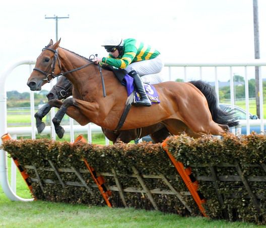 Didn't He Do Well and Mark Walsh fly the last   to win for trainer Francis Flood