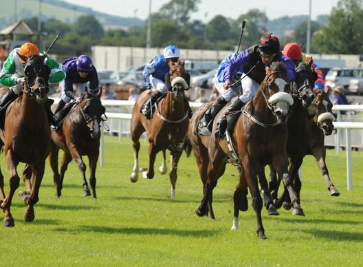 Pencil Hill and Pat Shanahan wn for trainer Tracey Collins