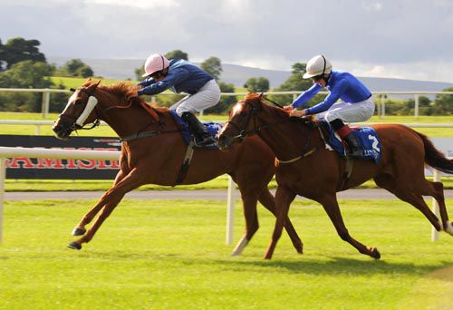 Regal Obligation and Wayne Lordan holds on from Torina for trainer Tom Hogan 