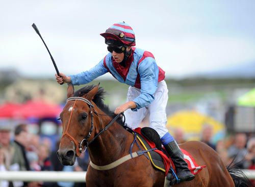 Credit Crunch and Shane Gray winning the 14.2hh at Dingle
