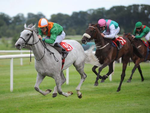 Irish Field will sponsor a race at the Curragh for greys only - the 1st in Ireland