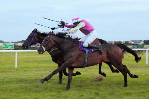 Old Hall (nearside) has officially 'held' his Wexford win. Hatton's Wood is on the far side