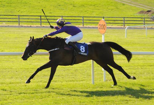 Swiftmarc and Helen Mooney win at Tramore