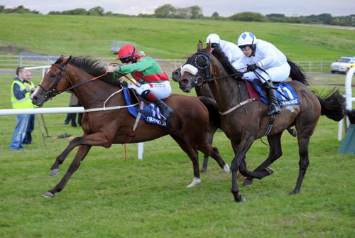 Raheenwood leads Karkari (number 11) over the final flight 