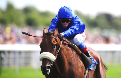 Rewilding pictured winning at York last year