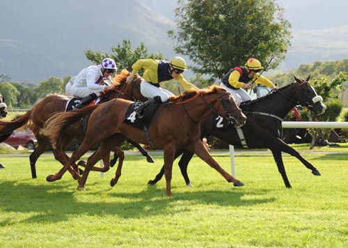 Prince Jock and Pat Shanahan win from Indus Valley and Declan McDonogh