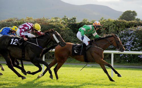 Phantasy Rock and Eddie Linehan win at Killarney