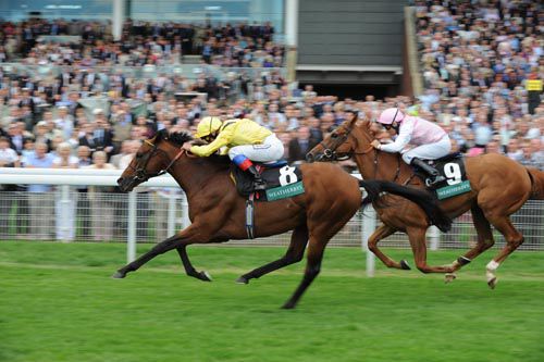 Opinion Poll is one of the horses to be banned from racing