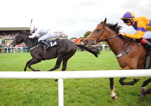 Top Spin and Sam James winning for trainer John Murphy