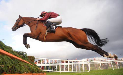 Glantara and Ruby Walsh jump the last to win   for trainer John Kiely