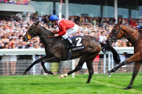 Hooray seen here winning at York