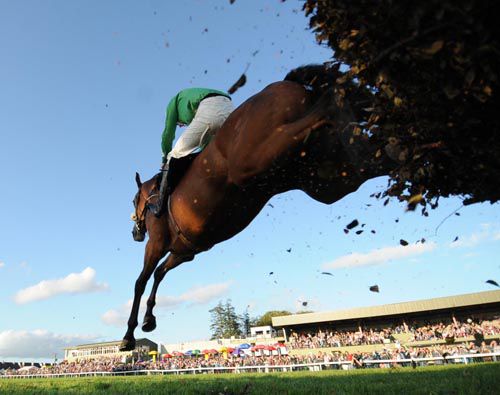 Winners Toast and Mickey Butler jumping the last