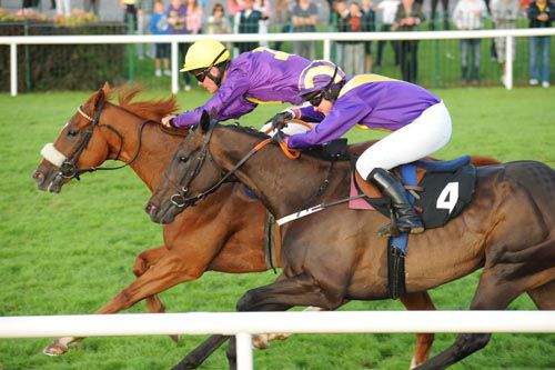 Endless Intrigue beats Swiftmarc