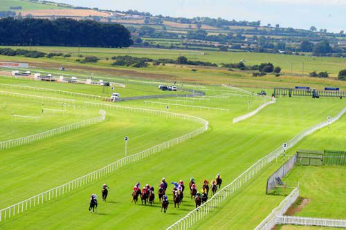 The Curragh