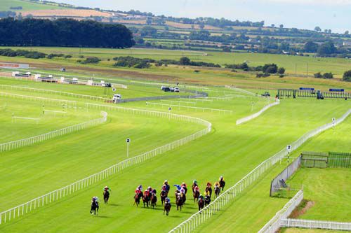 There's racing at the Curragh today