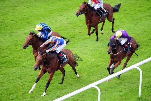 Meow and Johnny Murtagh wins from Ladies Choice for trainer David Wachman