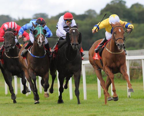 Celerina (yellow colours) and Wayne Lordan are about to win at Cork