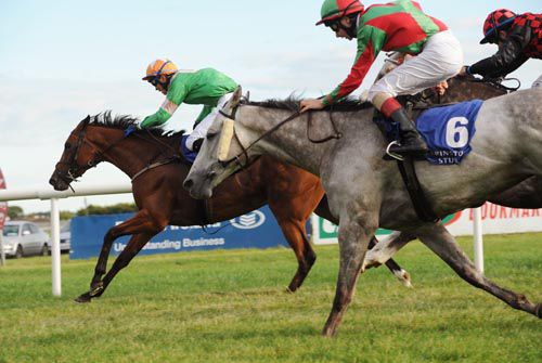 Phantasy Rock holds off Green To Gold