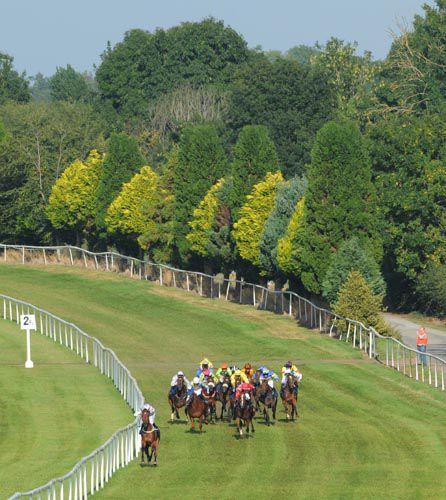 Mac Tiernan kicks clear of the field
