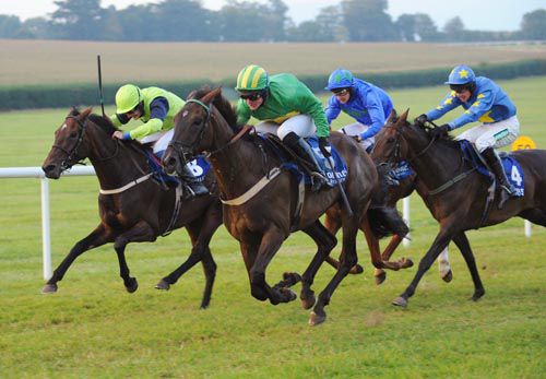 Presenting Nama (nearest) gets the better of Littletown Lass (rail) in a tight finish