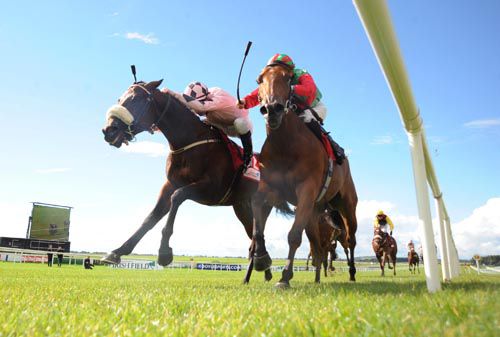 Longhunter (noseband) comes to deprive Katla of the Blenheim Stakes