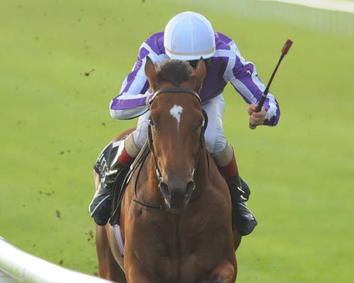 Oracle in splendid isolation