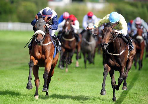 Duc De Savoie (blinkers) mows down Paraphernalia