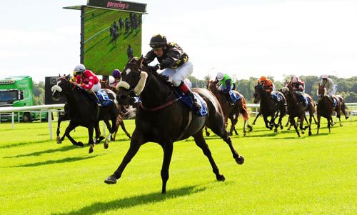 Teachers Choice & Johnny Killahena