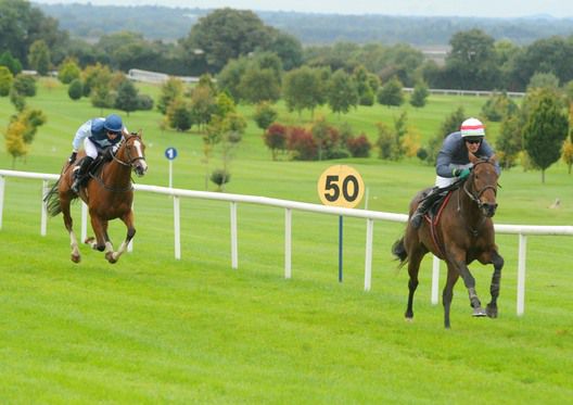 Shuil Sheeran stretches away to comprehensively win the bumper at Navan under David Kiely