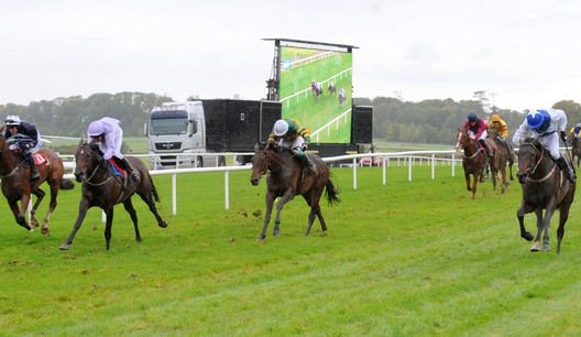 Mascherano (2 off the rail) comes out best of this four in the bumper at Gowran