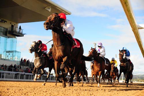 Dahindar kicks clear under Padraig Beggy