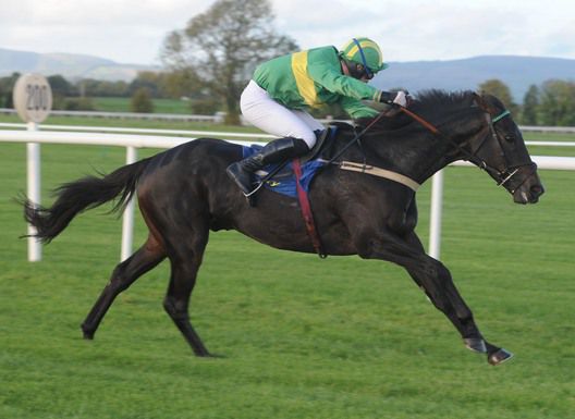 Presenting Nama wins at Tipperary