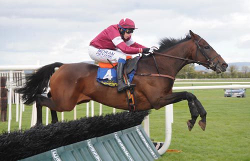 Far Away So Close jumps the last clear under Alain Cawley