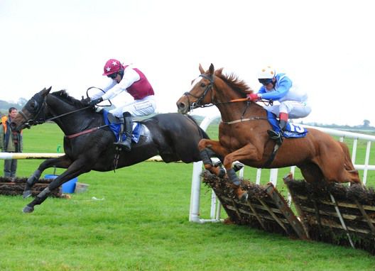 Burton Girl leads winner Moon Over Moscow over the final flight