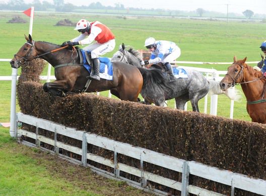 Ahorsecalledmolly and Andrew Lynch pop the last at Fairyhouse