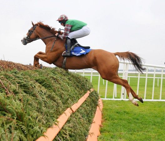 Information and Conor Maxwell fly the last 