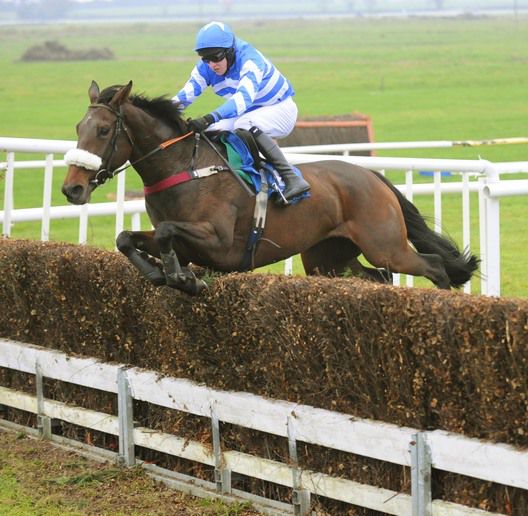 Mark Walsh and Liberty Counsel jump the final fence