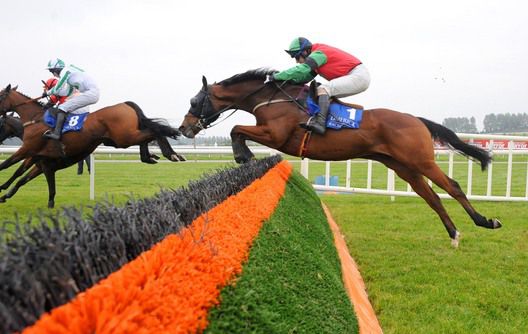 Gimli's Rock has a length to find with Cross Appeal and Flying Bella jumping the last 