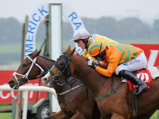 Golden Kite (far side) narrowly defeats Fisher Bridge in the Munster National