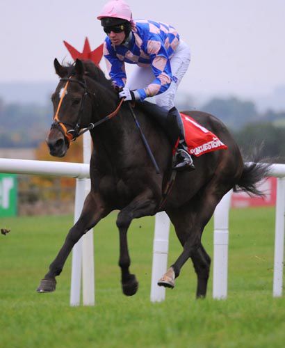 Staying Article & 'Corky' Carroll impressed everyone at Punchestown